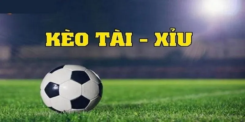 Tổng hợp những bí quyết từ các cao thủ mà bạn nên tham khảo